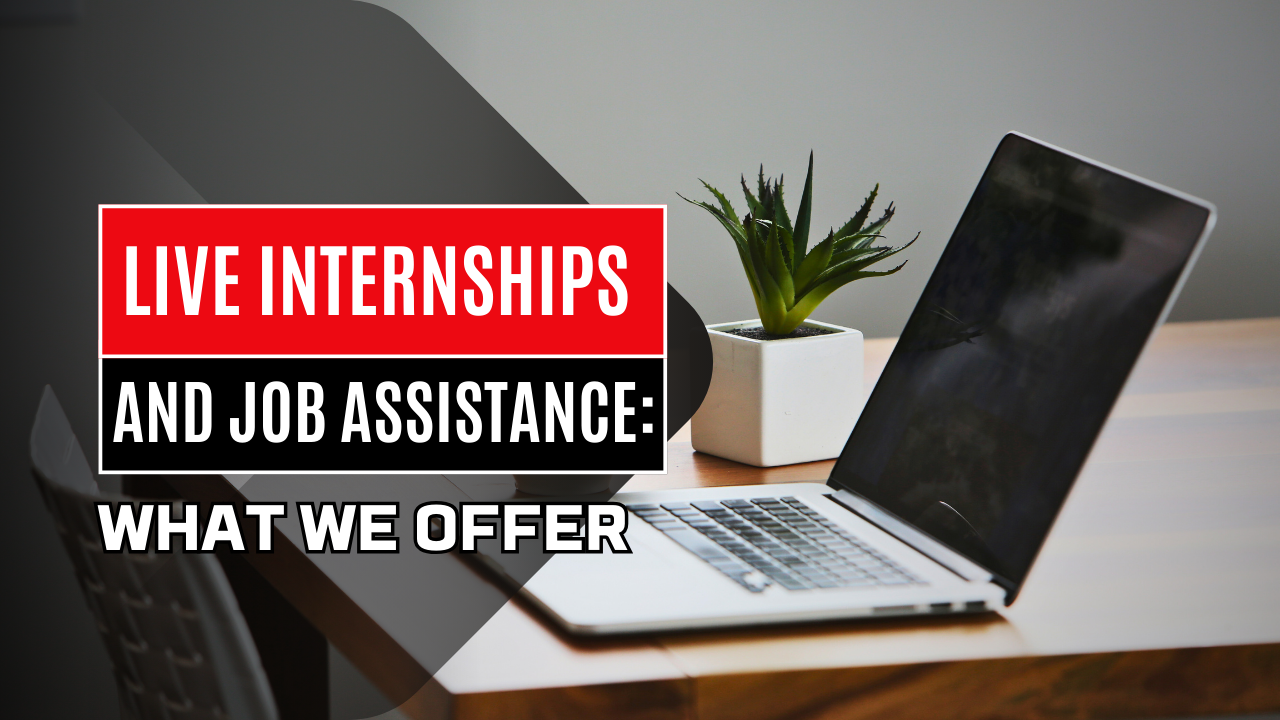 Live Internships and Job Assistance: What We Offer